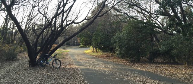 Read more about the article 【町田の】かつて戦車道路と呼ばれた尾根緑道【サイクリングコース】