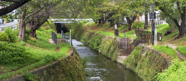 Read more about the article 【BRI-CHAN】クロスバイクで引地川沿いを片道10km走ってみた